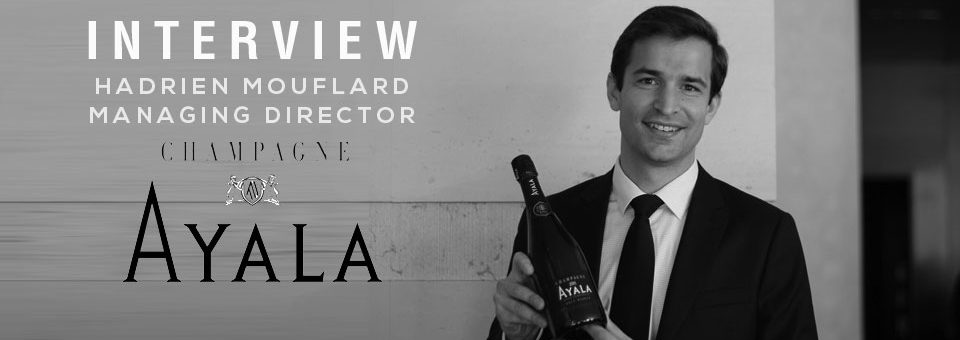Hadrien MOUFLARD AYALA champagne INTERVIEW